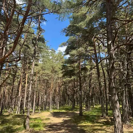 Appartement Amber Forest